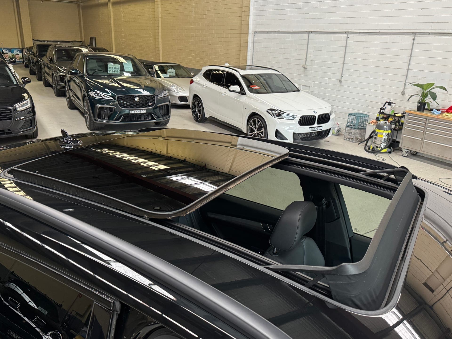 2023 Audi Q5 40 TDI Quattro Sport MHEV in Black — photo 14