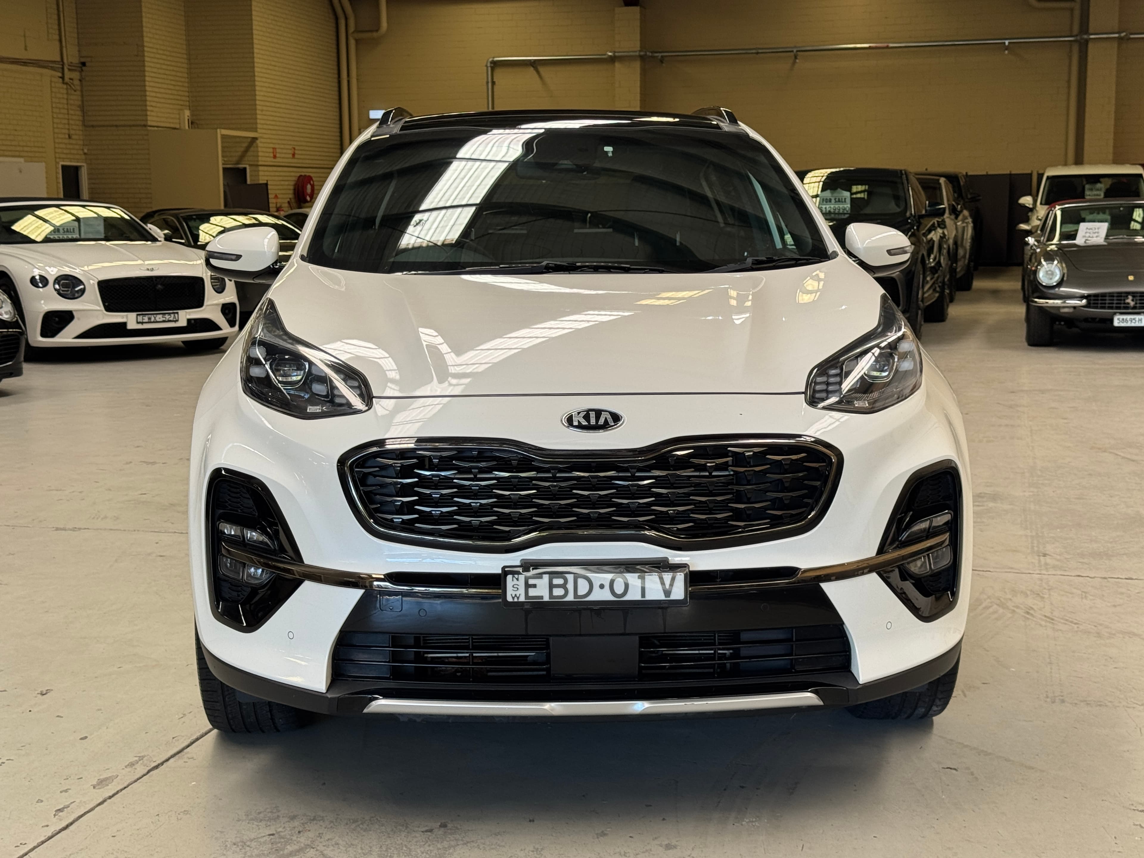 2019 Kia Sportage GT Line in White — exterior rear